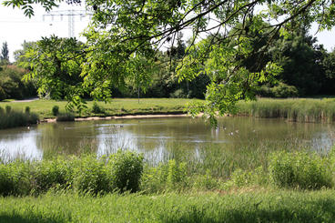 Teich im westlichen Teil des Floraparks  MMKT
