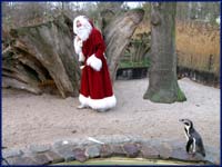 Weihnachtsmann im Zoo Magdeburg Zoo