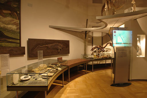 Museum für Naturkunde Stadtökologie01