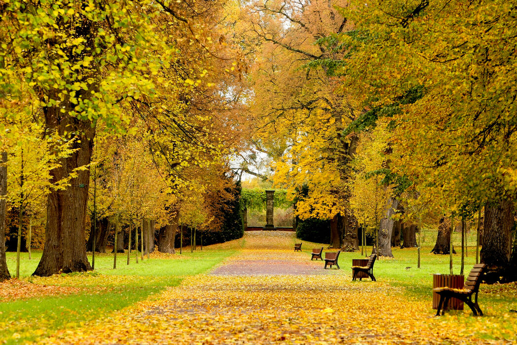 Herrenkrugpark