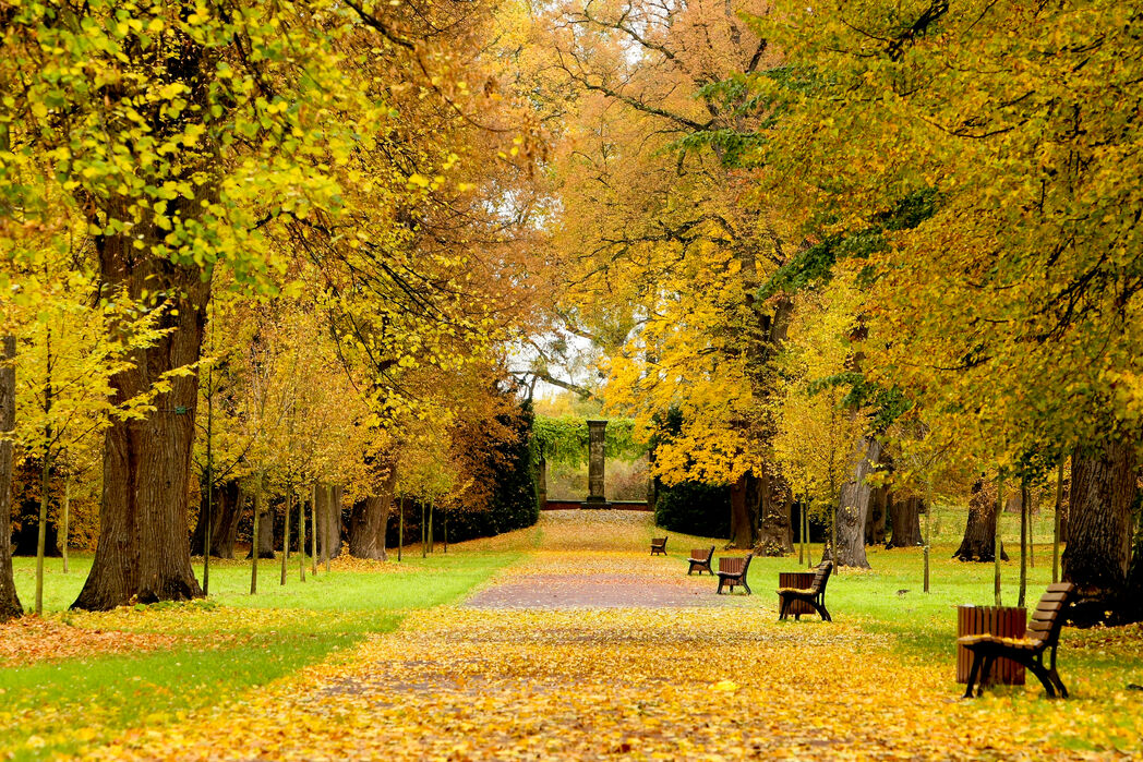 Herrenkrugpark im Herbst
