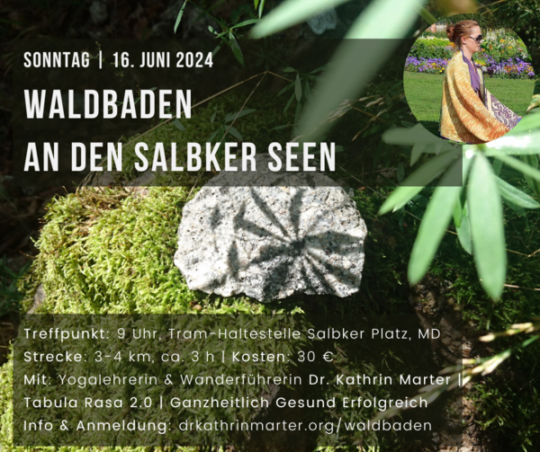 Bild vergrößern: 2024_06_16 Waldbaden Salbker Seen
