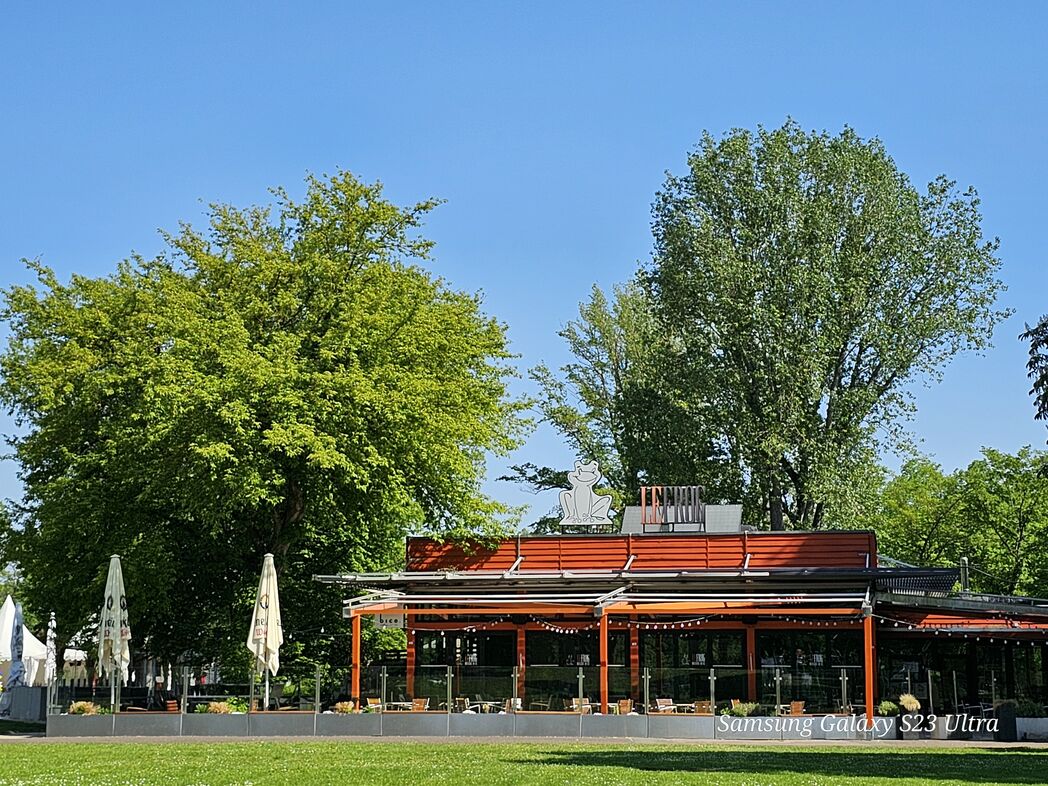 Le Frog Außenansicht