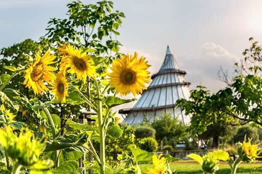 Jahrtausendturm im Sommer