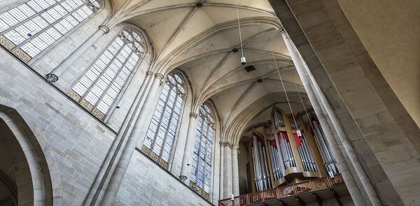 Bild vergrößern: Magdeburger Dom_Max Fuchs_Header