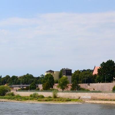Anne König_2 - Kopie