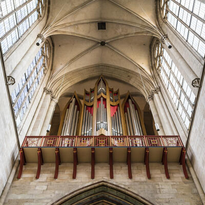 Magdeburger Dom_Max Fuchs (10)