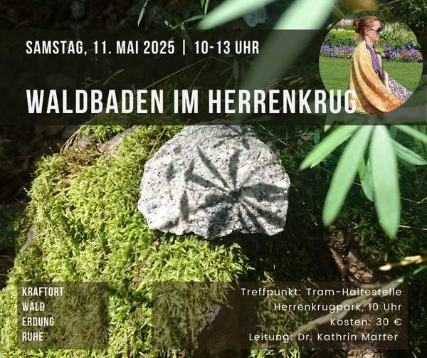Bild vergrößern: 2025_05_11 Waldbaden Herrenkrug