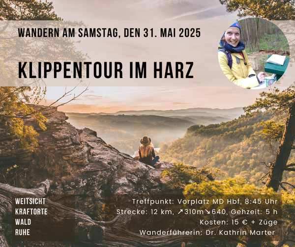 Bild vergrößern: 2025_05_31 Klippentour nach Wernigerode