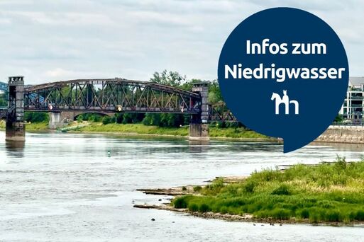 Bild vergrößern: Niedrigwasser Website Header