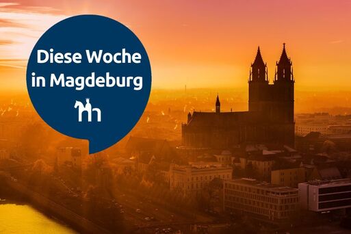 Bild vergrößern: DGDW Header