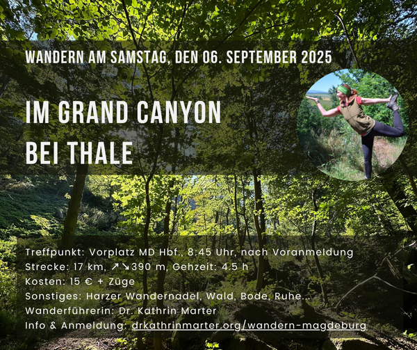 Bild vergrößern: 06.09.25 Im Grand Canyon bei Thale