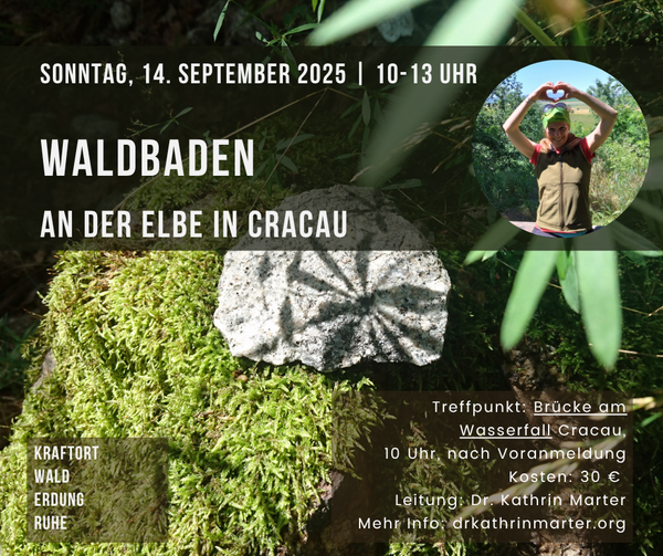 Bild vergrößern: 14.09. Waldbaden Elbauen
