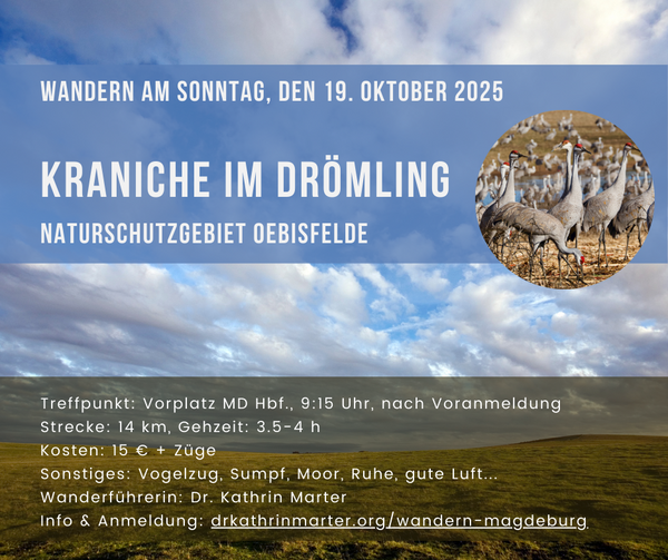 Bild vergrößern: 19.10.25 Drömling
