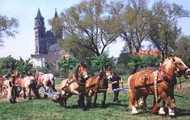 Halbkugelversuch vor Dom