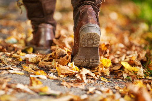 Eine Person geht auf Laubuntergrund im Wald wandern