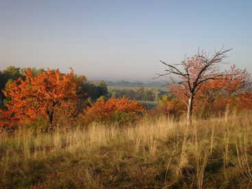 Bild vergrößern: 25. Landschaftstag