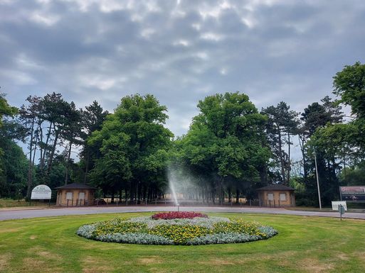 Ornamentbeet im Herrenkrugpark