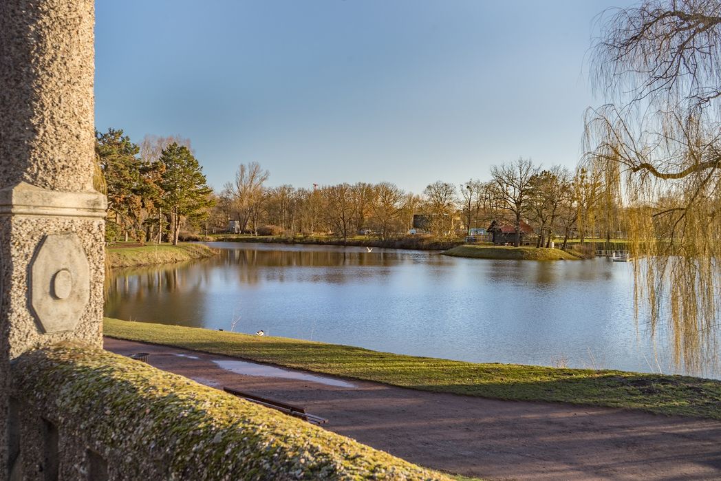 Adolf-Mittag-See im Stadtpark Rotehorn in Magdeburg