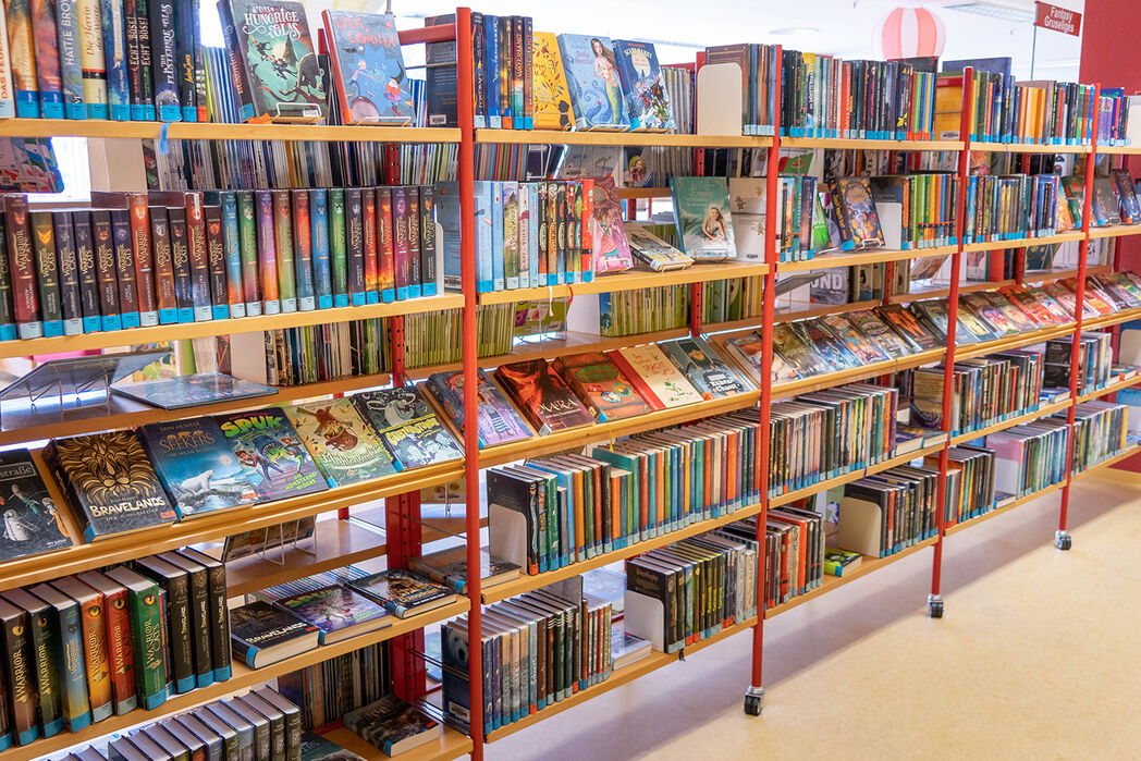 Bild vergrößern: Bücherregal mit Kinder- und Jugendbüchern der Stadtbibliothek Magdeburg