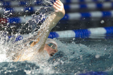 Bild vergrößern: Schwimmen