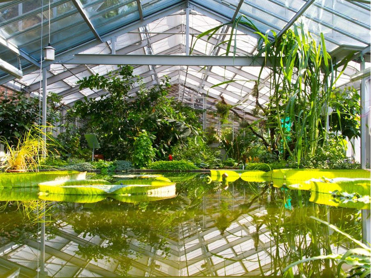 Gruson Greenhouses © Gruson-Gewächshäuser