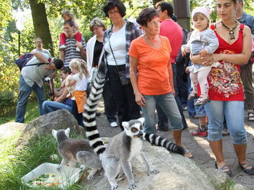 Zoo Magdeburg tierisch nah © Zoo Magdeburg
