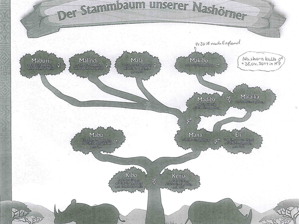 Stammbaum