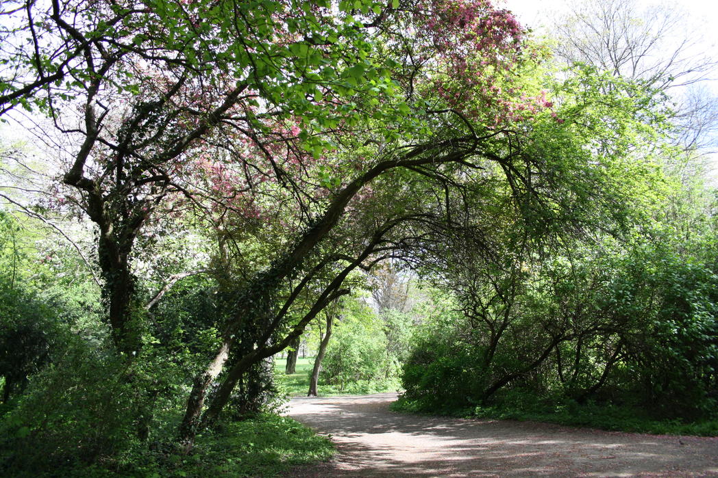 Nordpark  Magdeburg Marketing (2)