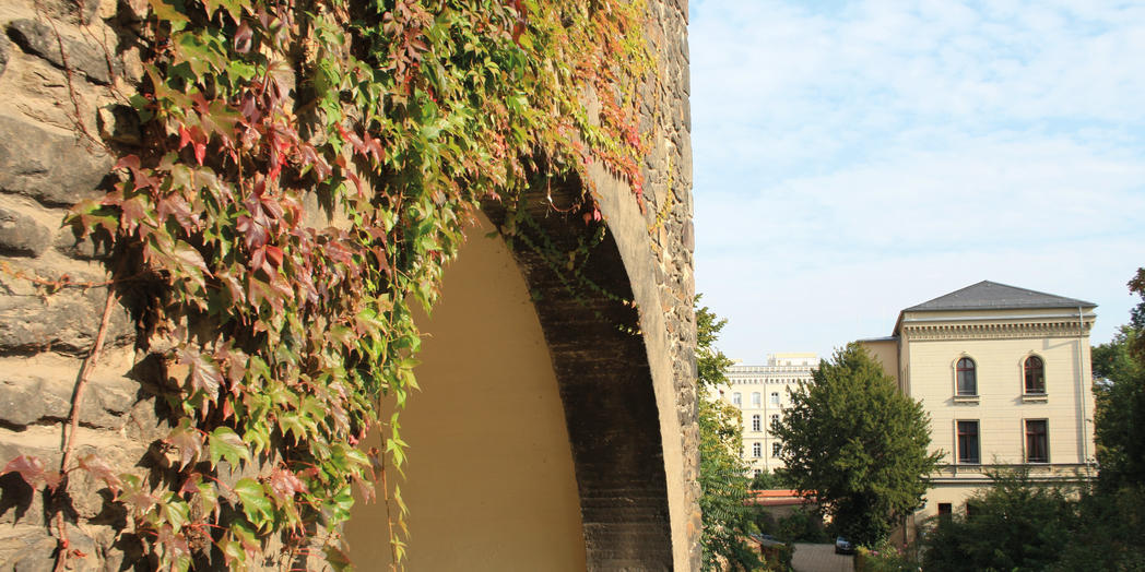 Magdeburg im Herbst Magdeburg Marketing