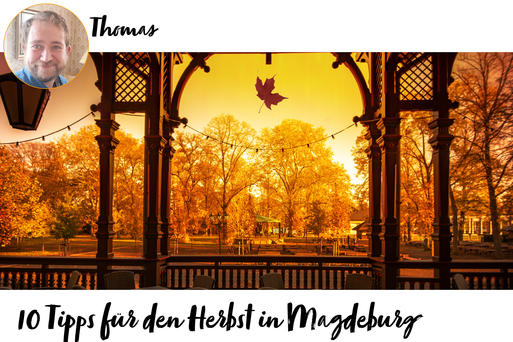 10 Tipps für den Herbst in Magdeburg ©AdobeStock@Andrea Schwingel.jpg