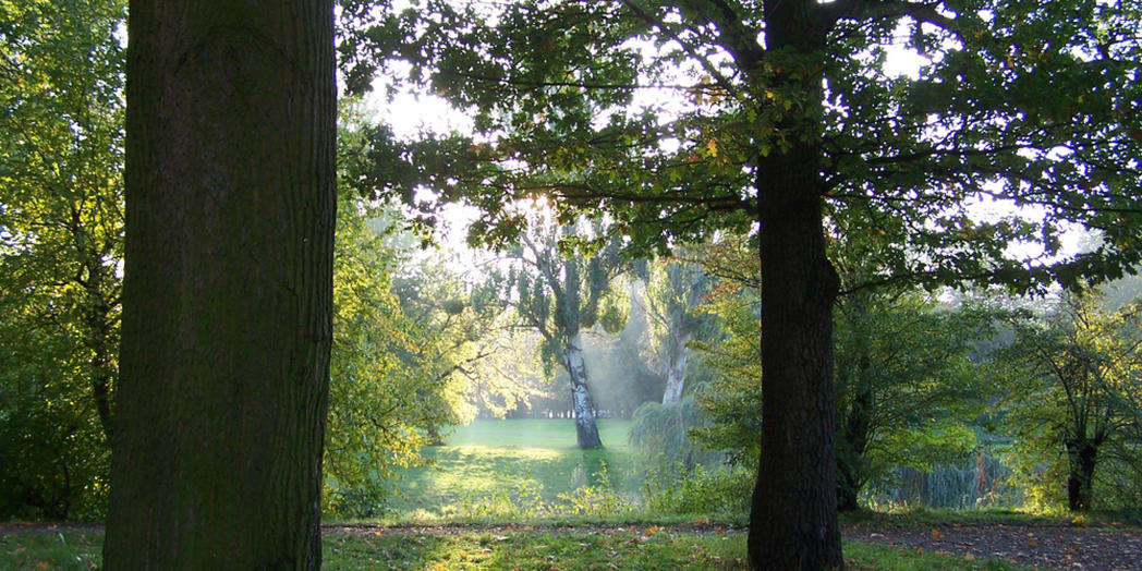 1. Stadtpark Rothehorn © MMKT GmbH