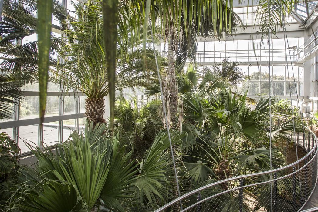 Gruson-Gewchshuser Palmenhaus