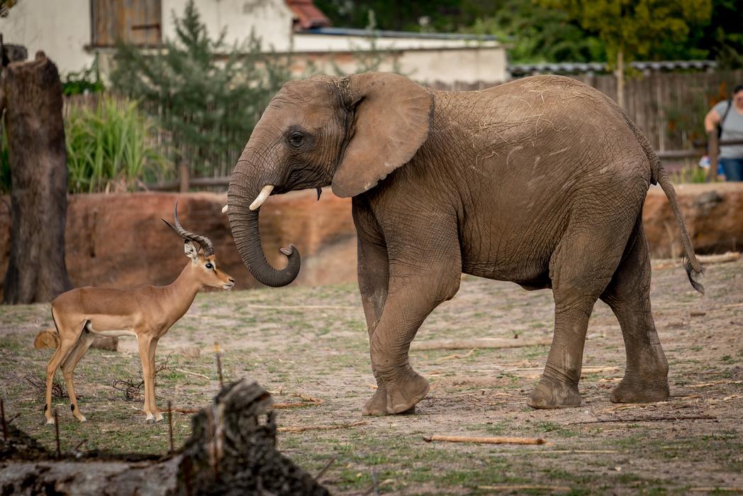 Zoo Magdeburg Andreas Lander
