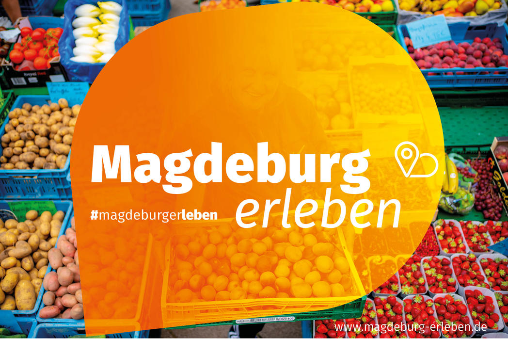  Magdeburg erleben - Die Innenstadt lebt