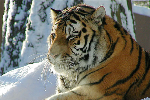 ZOO MAGDEBURG