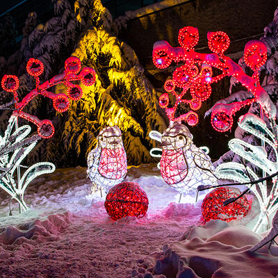 at_Innsbruck_Hofgarten_lumagica_light park_027_kl_kl