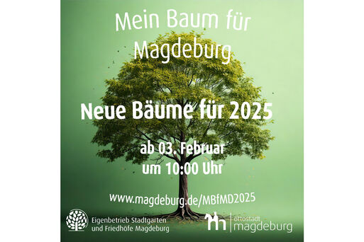 Bild vergrößern: Mein Baum fr MD 2025 Ikiss_aktuell